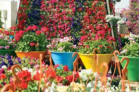 قیمت گل و گیاه در ایام نوروز تغییر نکرد
