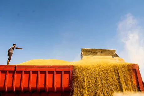شکر ارزان می‌شود