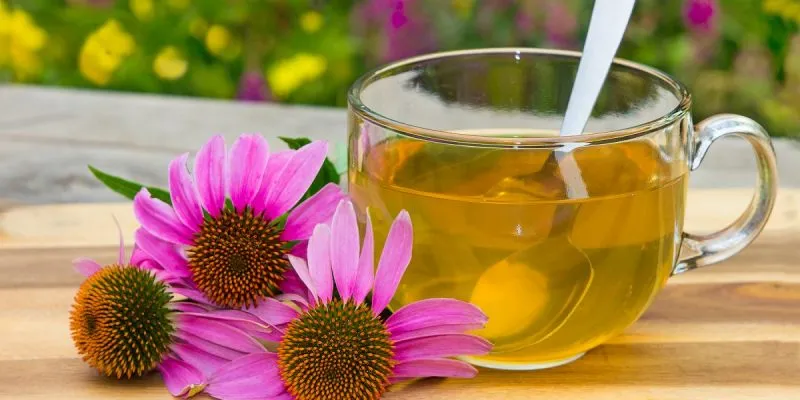 ۴ ترکیب  گیاهی معجزه گر؛ برای تقویت در برابر کرونا