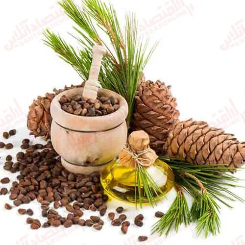 روش اصلی استفاده از سدر برای پوست و مو + فواید
