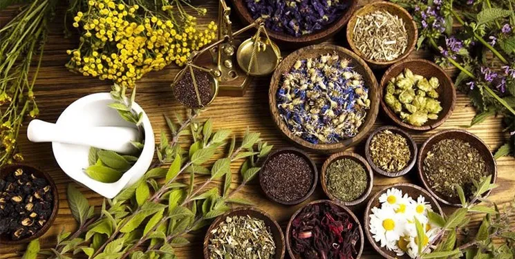 بهترین انرژی‌زا های طبیعی برای رفع  بی‌حالی بهبود یافتگان کرونا