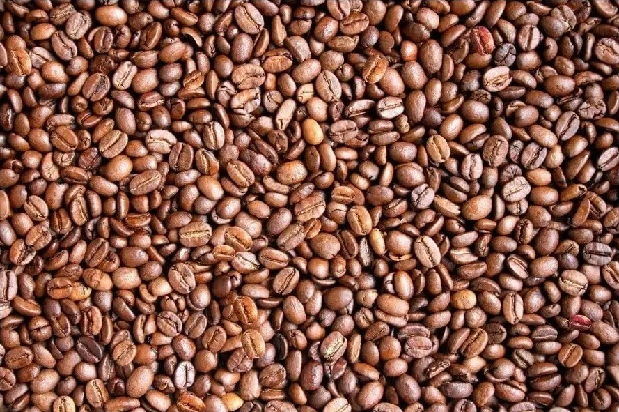 تست بینایی؛ صورت گمشده را پیدا کنید!