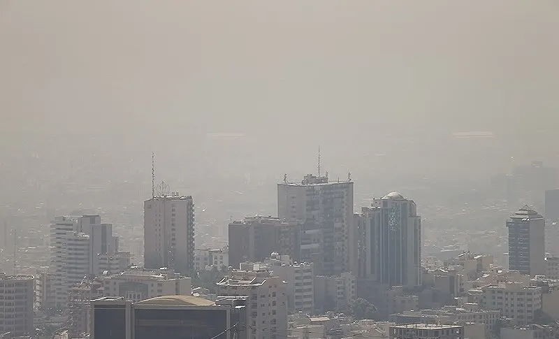 بلای خاکستری