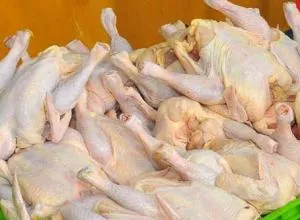 مرغ کیلویی 12هزار تومان شد