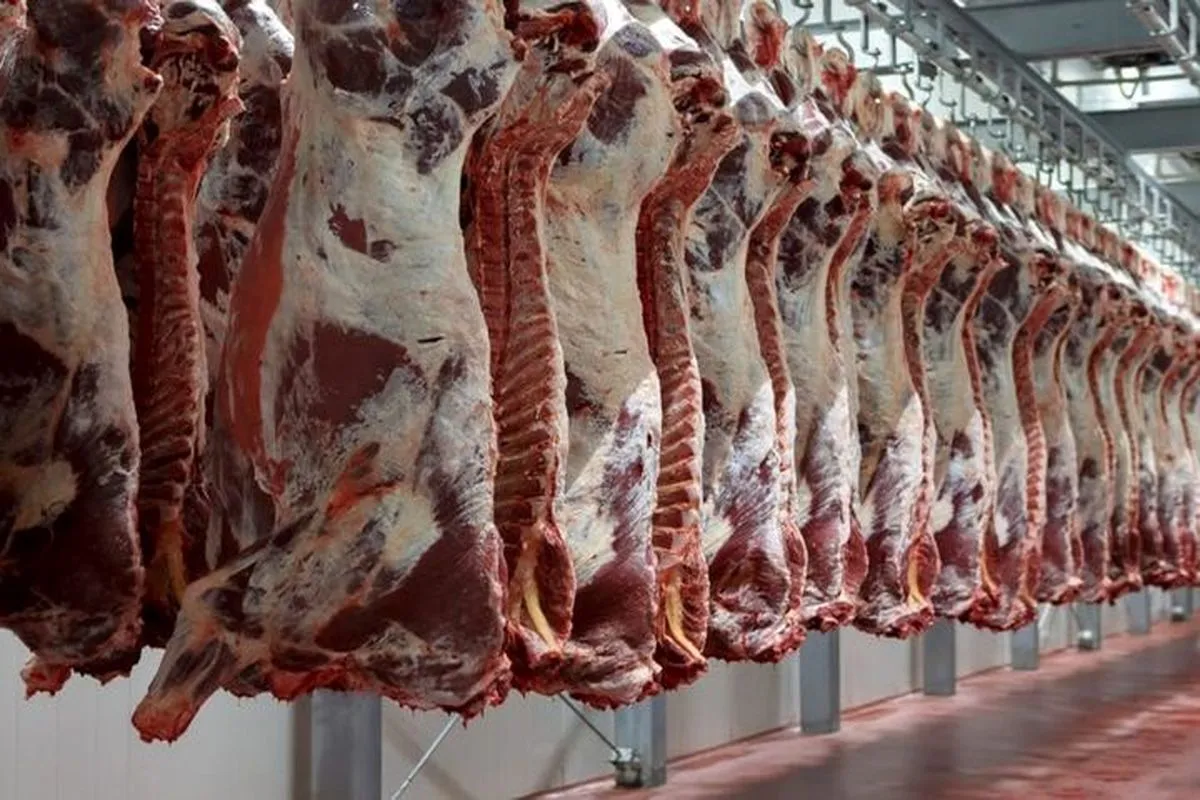 قیمت گوشت گوسفندی و گوساله کیلویی چند؟ + جدول