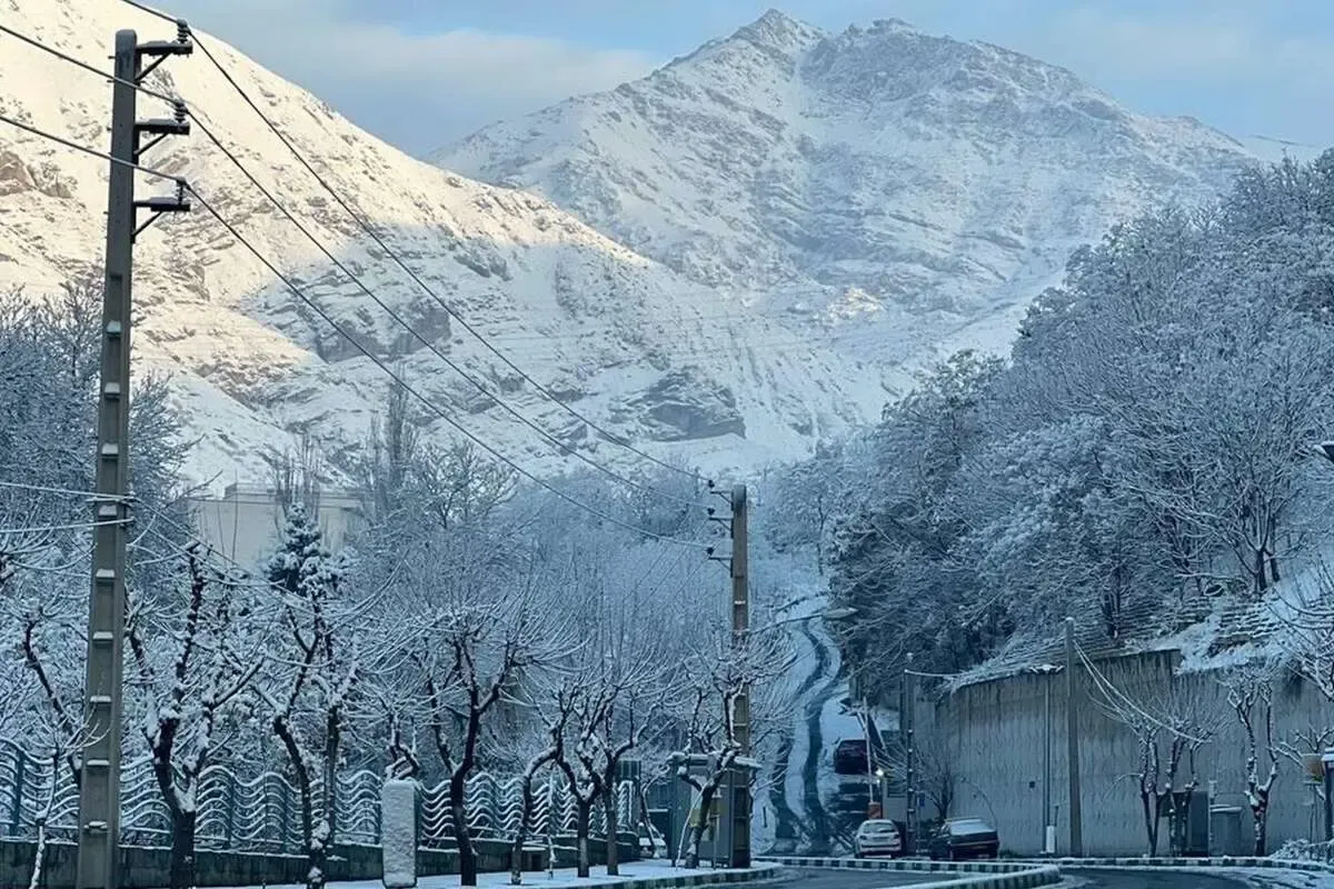 هواشناسی
