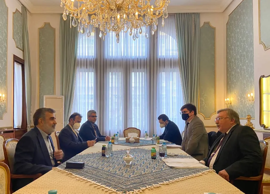 دیدار اولیانوف با کمالوندی