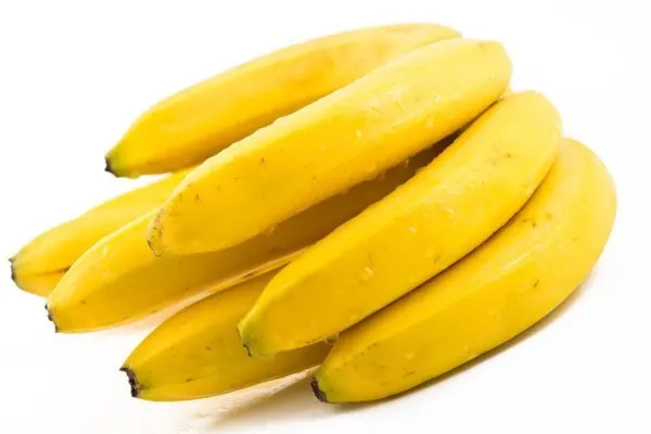 واردات کدام میوه‌ها به کشور آزاد است؟
