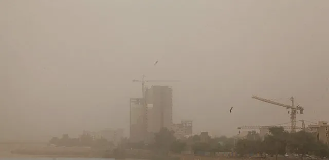 گرد و خاک مدارس برخی مناطق شرق ‌جاسک را تعطیل کرد