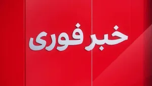 آخرین جزئیات از شهدا و مجروحان حمله آمریکا به نایین