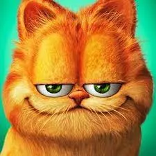 گارفیلد واقعی در دنیای گربه ها +عکس