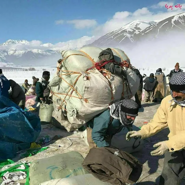 دلایل ورود وزارت کشور به ساماندهی