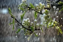 هواشناسی-بوشهر-هشدار-وقوع-سیل-صادر-شد