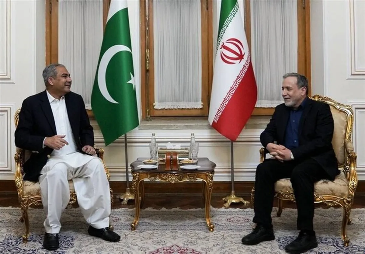 Araghchi, Naqvi discuss proposals to resolve Iran-US disputes