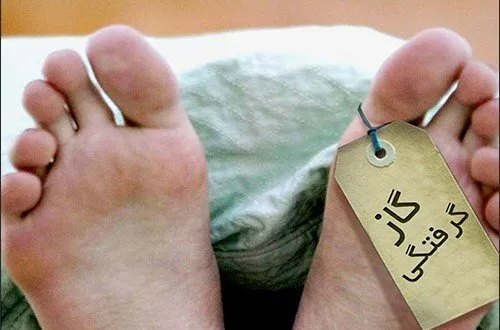 فوت 3عضو یک خانواده بر اثر گاز گرفتگی در مراغه