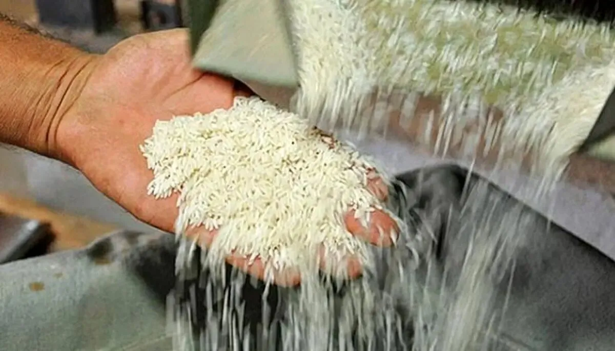 برنج