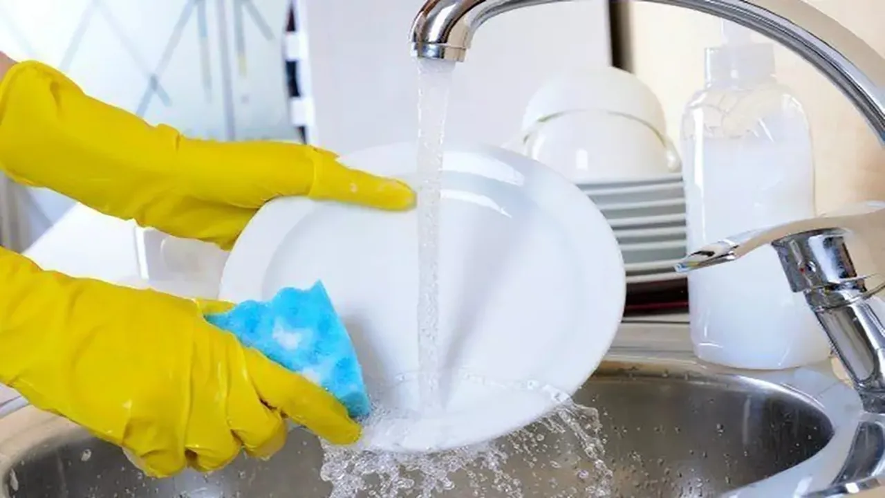 بهترین محل برای رشد باکتری در آشپزخانه‌ کجاست؟