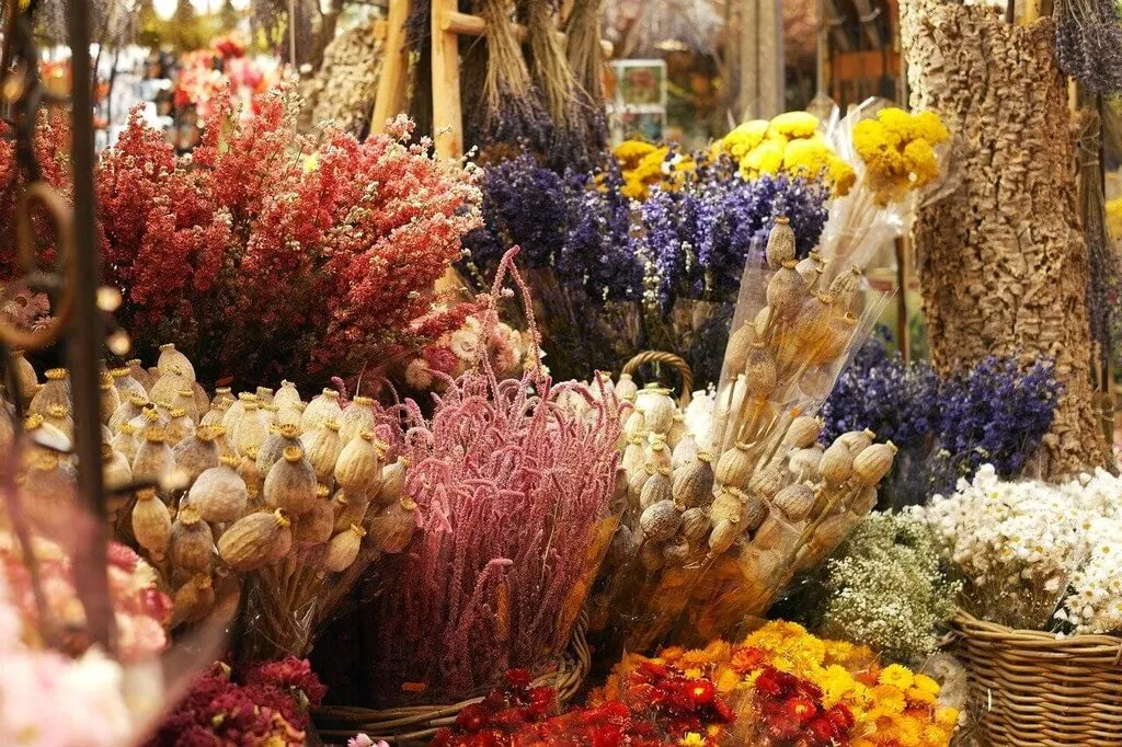 چند روش برای خشک کردن گل + عکس