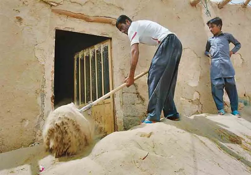 زندگی شنی
