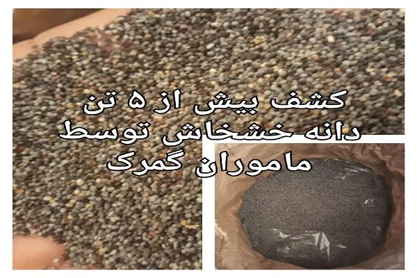 کشف بیش از ۵تن دانه خشخاش در یک تریلر