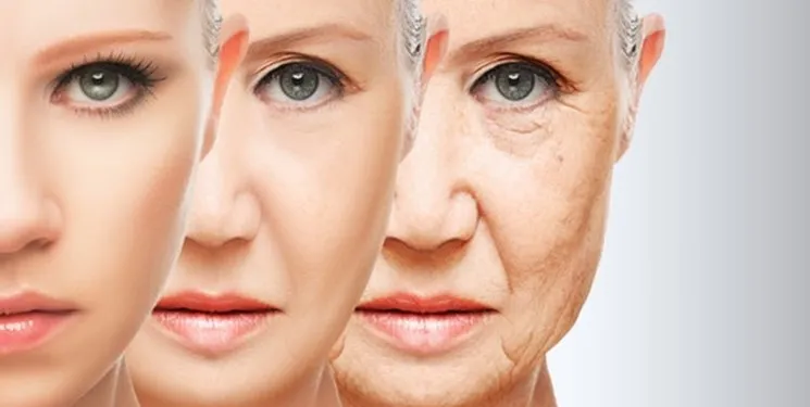 ترکیبات ضد پیری جدید آلزایمر را هدف قرار می‌دهد
