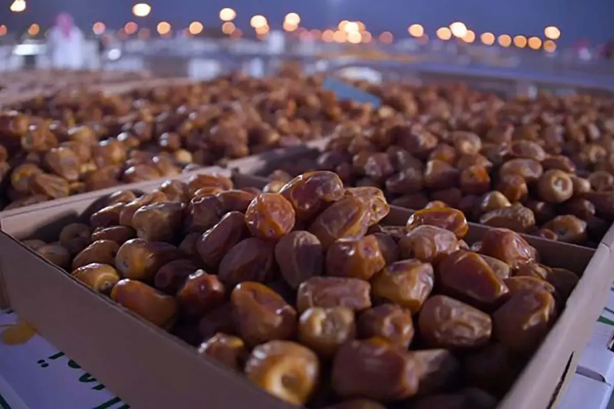 خرمای ایران پشت مرز‌ها متوقف شد / ۷ هزار کانتینر در انتظار خروج؛ صادرات چرا قفل شد؟