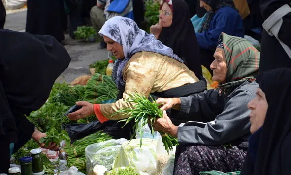توسعه طرح صندوق‌خرد زنان‌روستایی به ۱۴استان