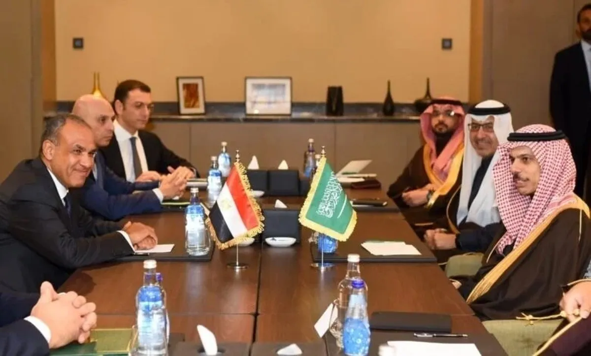 گفت‌وگوی وزیران خارجه مصر و عربستان درباره جنگ در منطقه