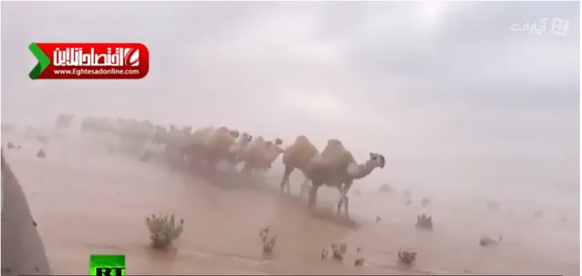 سیل عجیب در کویر عربستان +فیلم