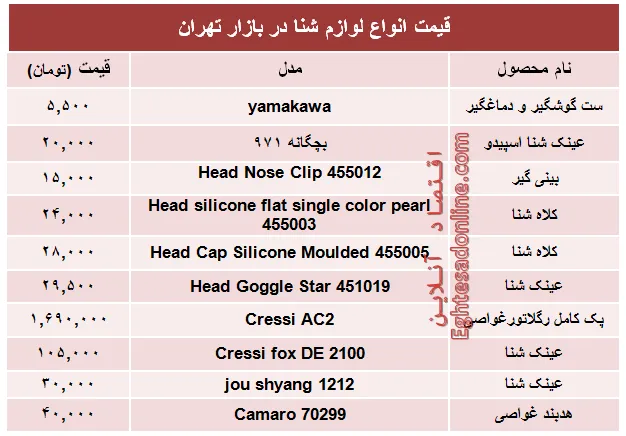 قیمت انواع لوازم شنا در بازار تهران +جدول