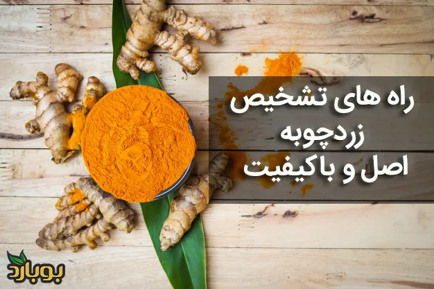 راه‌های تشخیص زردچوبه اصل و با کیفیت و چگونگی تهیه آن