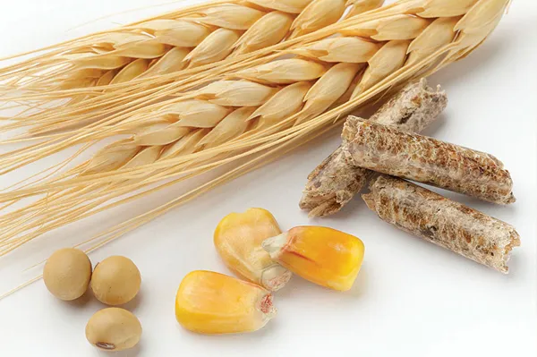 ابطال ثبت سفارش خوراک دام با تغییر نرخ ارز نیمایی تخلف بود/ نهاده های خوراک دام بدون تغییر قیمت در حال عرضه است