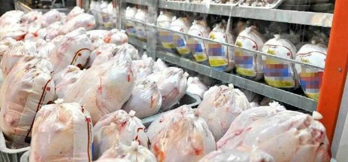 چرا گوشت‌مرغ هر روز کمیاب تر و گرانتر می‌شود؟ /سیاست‌های دستوری عامل شکل‌گیری رانت و تقلب در بازار