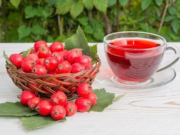 درمان سرفه و عفونت های ریه با این میوه پاییزی