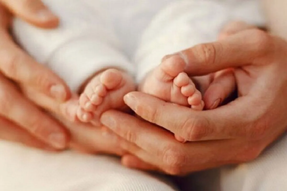 خبر خوش درباره کارت امید مادر / این اقلام به فهرست کالا‌های قابل خرید اضافه شد