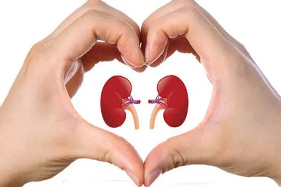 پیوند کلیه چقدر هزینه دارد؟
