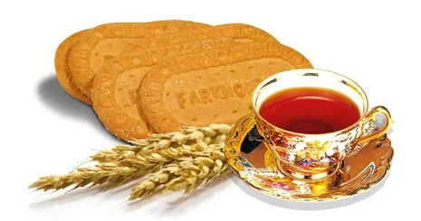 سرمایه گذاری در حوزه بیسکویت های خاص بازار