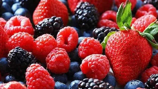 مغز را با این ۵ ماده تغذیه کنید