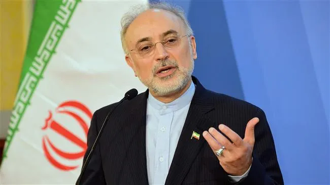 صالحی: نقض برجام آثار بین المللی خواهد داشت