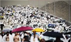 حضور ۶۷۴ زائر ایرانی در مراسم حج امسال
