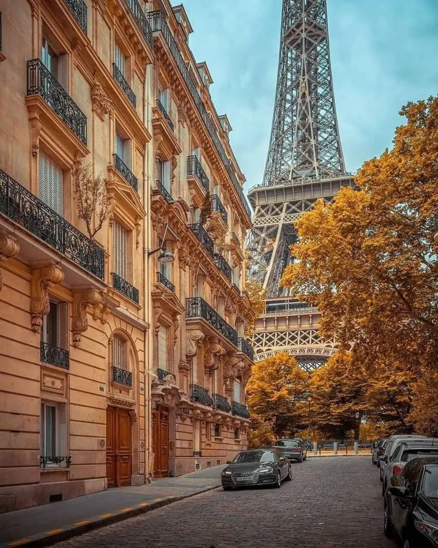 پاییز در پاریس + عکس