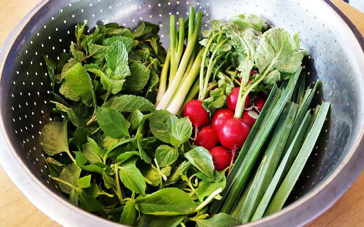 چگونه سبزی خوردن را برای مدت طولانی تازه نگه داریم؟