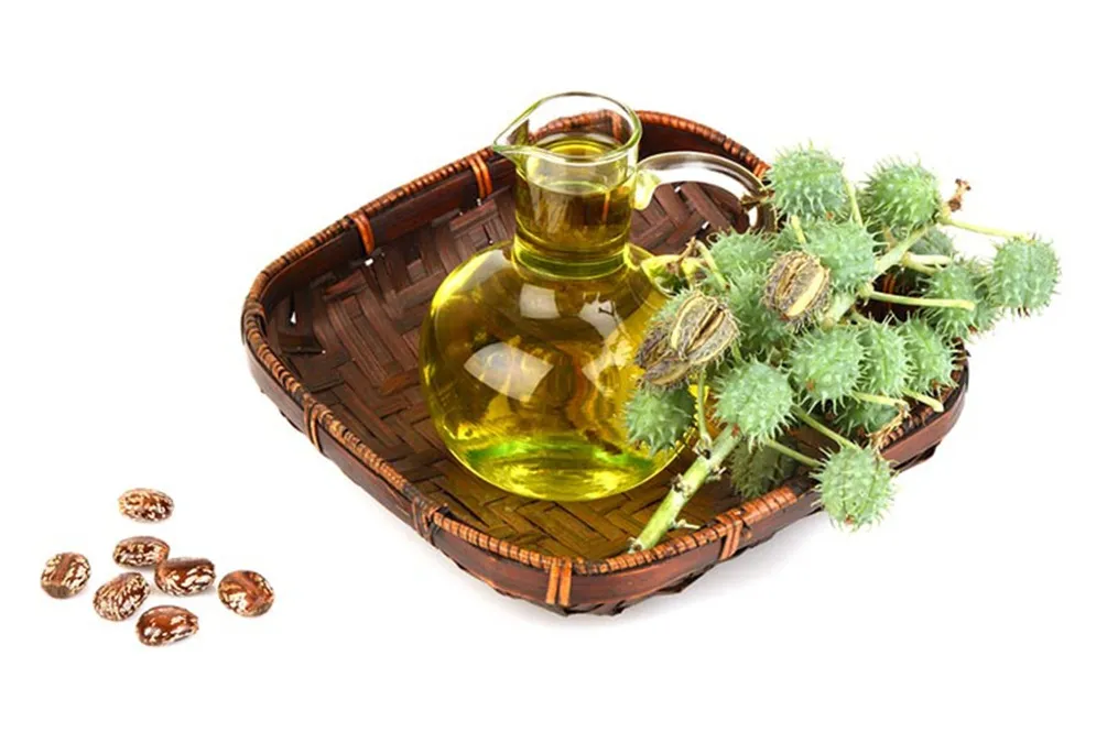 از خواص روغن کرچک چه می&zwnj;دانید؟