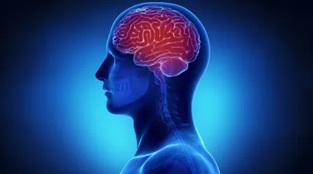 ۸ راهکار موثر برای افزایش قدرت تمرکز