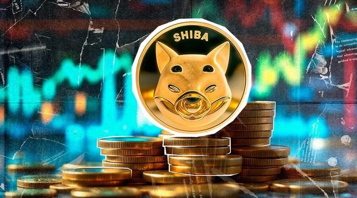 تکرار رالی سال ۲۰۲۱ برای شیبا اینو؟ نهنگ‌ها ۵۳۰ تریلیون SHIB انباشت کردند!+ نمودار