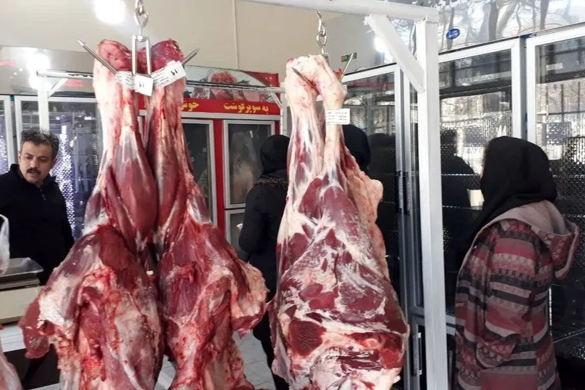 واردات بی‌وقفه گوشت، گرانی لحظه‌ای گوشت/ نفوذ دلالان در سامانه بازارگاه