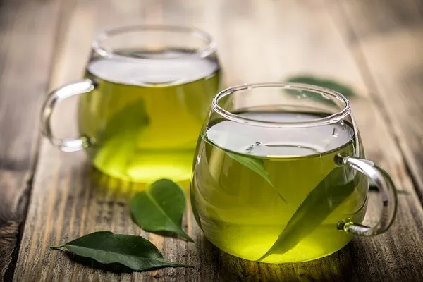 ادعاهای درمانی قارچ‌های دارویی چقدر صحت دارد؟