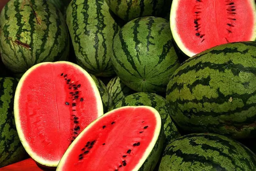 هندوانه