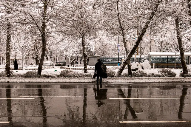 بارش اولین برف پاییزی در اردبیل، گیلان و مازندران