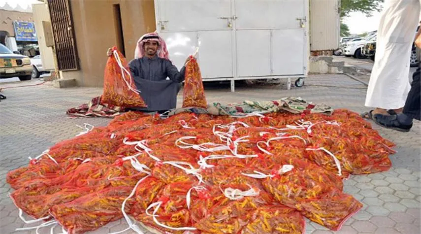 بازار داغ خرید و فروش ملخ در عربستان +فیلم